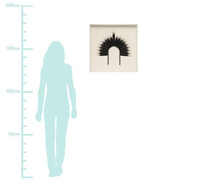 Quadro com Vidro Cocar Preto | Westwing