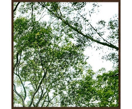 Quadro com Vidro Paisagem Árvore III | Westwing