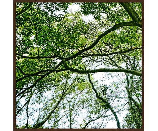 Quadro com Vidro Paisagem Árvore IV, colorido | WestwingNow