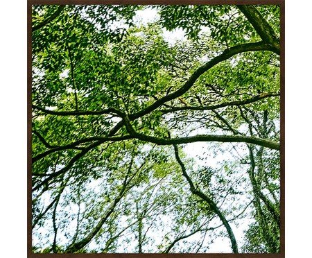 Quadro com Vidro Paisagem Árvore IV | Westwing