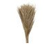 Maço de Folhas Secas Decorativo Nobilis, brown | WestwingNow