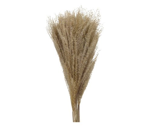 Maço de Folhas Secas Decorativo Nobilis, brown | WestwingNow