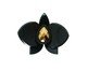 Anel Orquídea Preto, Preto | WestwingNow