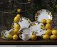 Jogo de Pratos para Sobremesa Bio Limonata Frutas, Colorido | WestwingNow