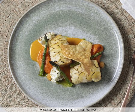 Jogo de Pratos Raso Bio Moss Verde | Westwing