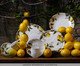 Jogo de Xícaras para Chá Bio Limonata Frutas, Branco | WestwingNow