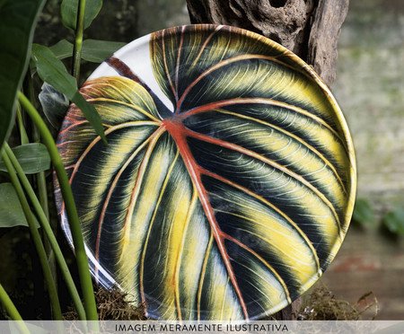 Jogo de Pratos para Sobremesa Bio Éden Floral | Westwing