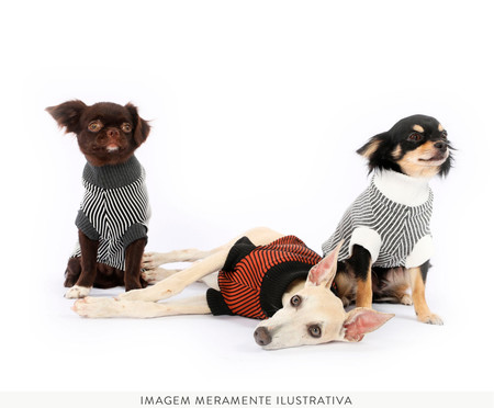 Suéter para Cachorro Minimal - Preto e Branco | WestwingNow