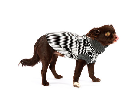Suéter para Cachorro Minimal - Preto e Branco | WestwingNow