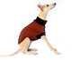 Suéter para Cachorro Minimal - Terra, Marrom | WestwingNow