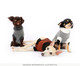 Suéter para Cachorro Minimal - Terra, Marrom | WestwingNow