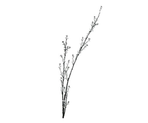 Galho Decorativo Hayon, Colorido | WestwingNow