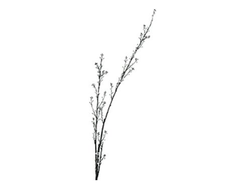 Galho Decorativo Hayon | Westwing