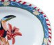 Travessa Estampa Tucano, multicolor | WestwingNow