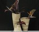 Vaso Afluente Serie 01 Areia e Off-White, Bege | WestwingNow