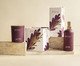 Combo La Vie Connectée - Vela + Home Spray, Roxo | WestwingNow
