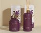 Combo La Vie Connectée - Sabonete + Difusor, Roxo | WestwingNow
