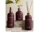 Combo La Vie Connectée - Difusor + Home Spray + Sabonete Líquido, Roxo | WestwingNow