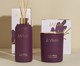 Combo La Vie Connectée - Vela + Difusor, Roxo | WestwingNow