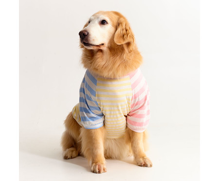 Camiseta para Cachorro Stripes Candy - Colorida | WestwingNow
