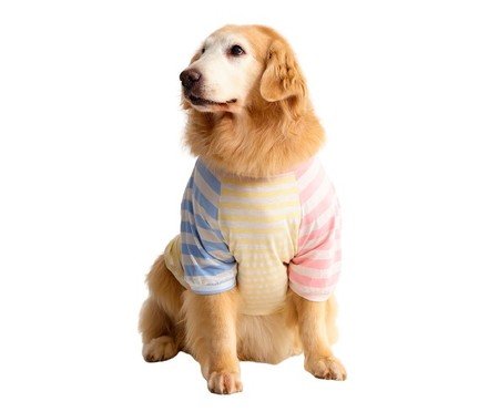 Camiseta para Cachorro Stripes Candy - Colorida