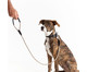 Guia para Cachorro Rope - Prata e Fendi, Fendi | WestwingNow