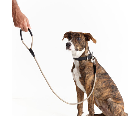 Guia para Cachorro Rope - Prata e Fendi | WestwingNow