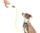 Guia para Cachorro Rope - Prata e Verde, Verde | WestwingNow