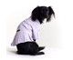 Vestido para Pet Grape - Lilás, Lilás | WestwingNow