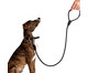 Guia para Cachorro Rope - Prata e Preta, Prata e Preta | WestwingNow