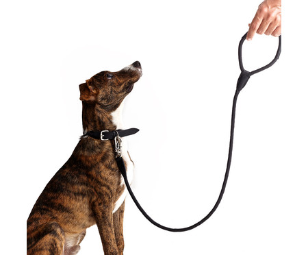 Guia para Cachorro Rope - Prata e Preta | WestwingNow