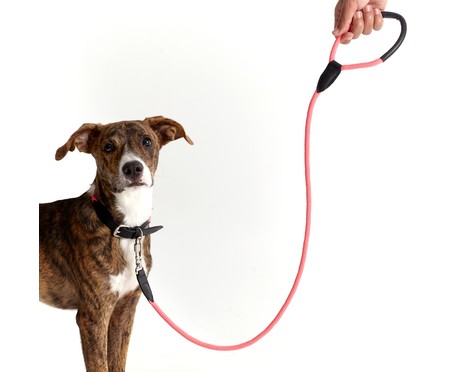 Guia para Cachorro Rope - Prata e Rosa | WestwingNow