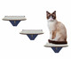 Jogo de Prateleiras para Gato Degraus - Azul, Azul | WestwingNow