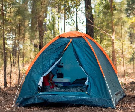 Barraca Panda 3 P | Westwing