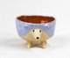 Pote Porco Espinho, Colorido | WestwingNow