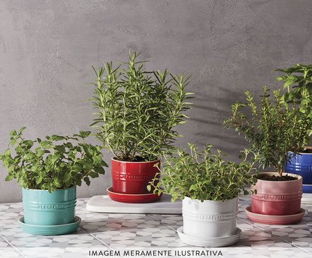 Vaso para Ervas com Bandeja Azul Caribe - 14cm | Westwing