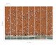 Papel de Parede Sonho Botânico Terracota, Colorido | WestwingNow