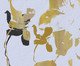 Papel de Parede Doma, Colorido | WestwingNow