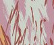 Papel de Parede Pigmento V1, Colorido | WestwingNow