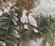 Papel de Parede Aroma de Orquídea, Colorido | WestwingNow
