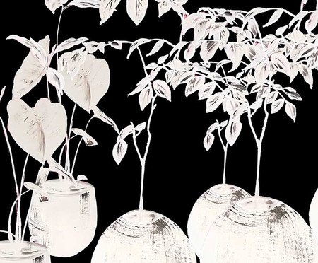 Papel de Parede Selva Urbana Preto e Branco | Westwing