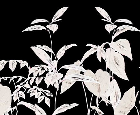 Papel de Parede Selva Urbana Preto e Branco | Westwing