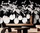 Papel de Parede Selva Urbana Preto e Branco, Colorido | WestwingNow