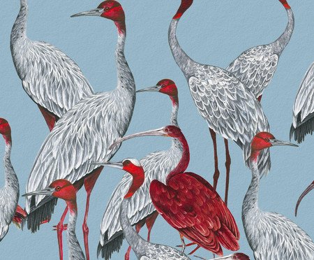 Papel de Parede Guará Vermelho V1 | Westwing