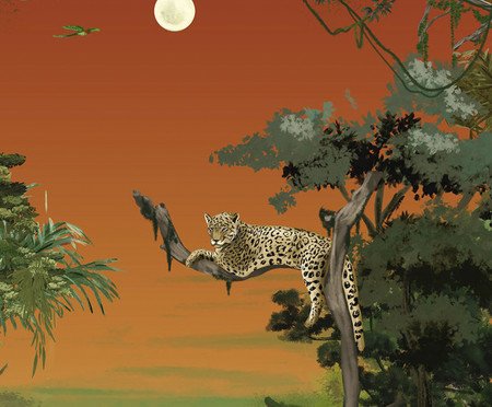 Papel de Parede Amanhecer no Pantanal | Westwing