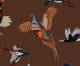 Papel de Parede Relicário Terra, Colorido | WestwingNow
