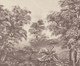 Papel de Parede Caminho do Bosque Preto e Branco, Colorido | WestwingNow