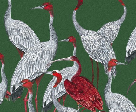 Papel de Parede Guará Vermelho V3 | Westwing