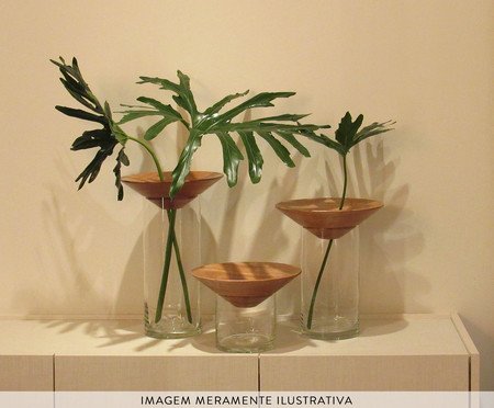 Vaso Grand Baobá | Westwing