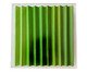 Quadro Degradê Aspargo, Verde | WestwingNow